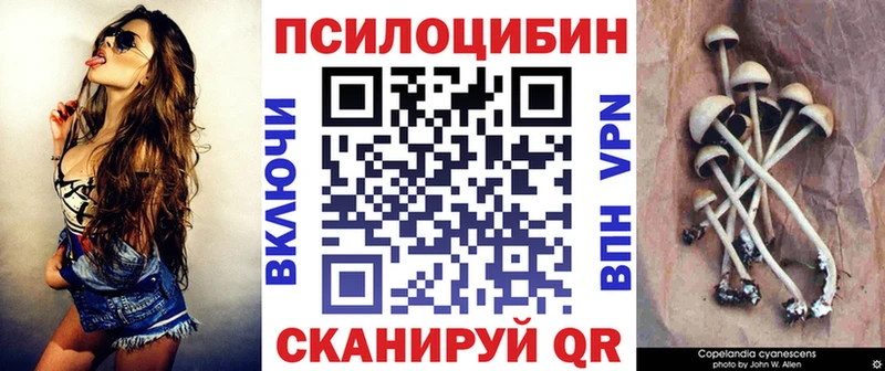 Галлюциногенные грибы Psilocybine cubensis  продажа наркотиков  блэк спрут   Среднеколымск 