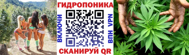 Бошки Шишки AK-47 Среднеколымск